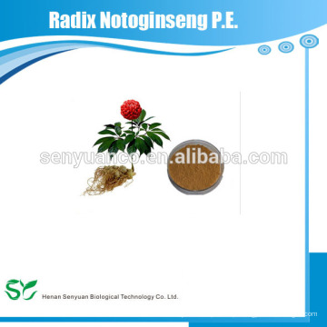 Alta qualidade radix notoginseng pe